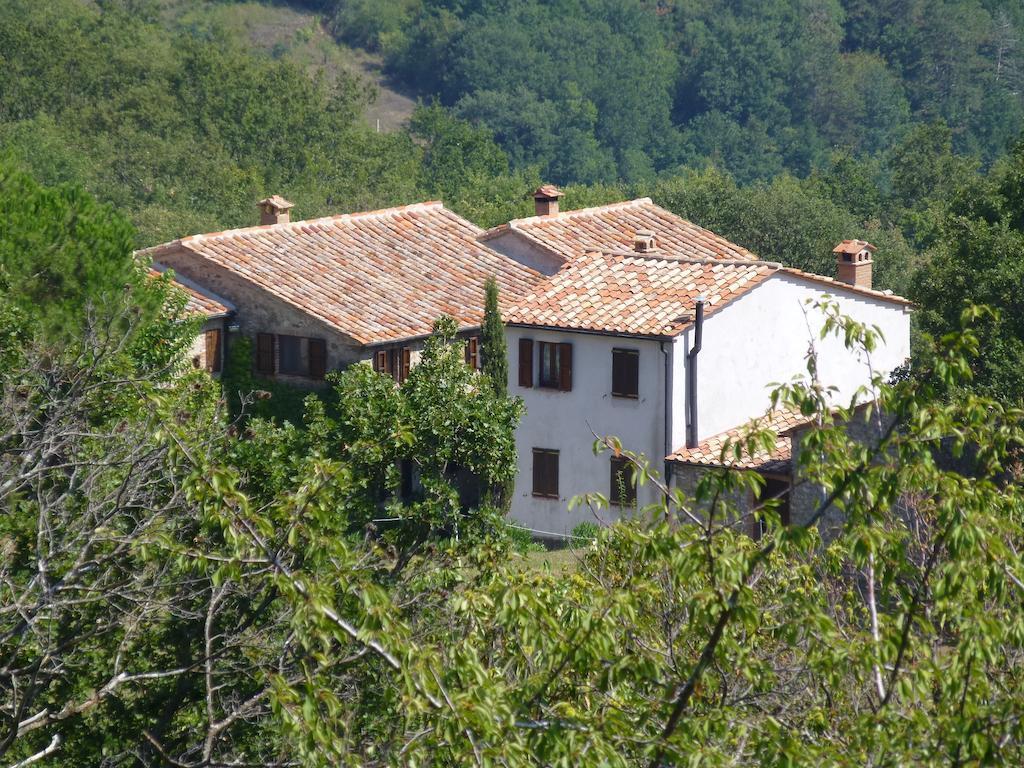 Apartamento Borgo Fango Montieri Habitación foto