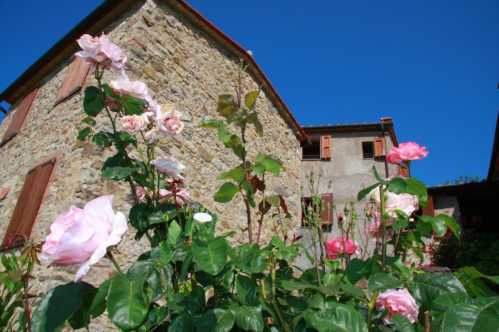 Apartamento Borgo Fango Montieri Habitación foto
